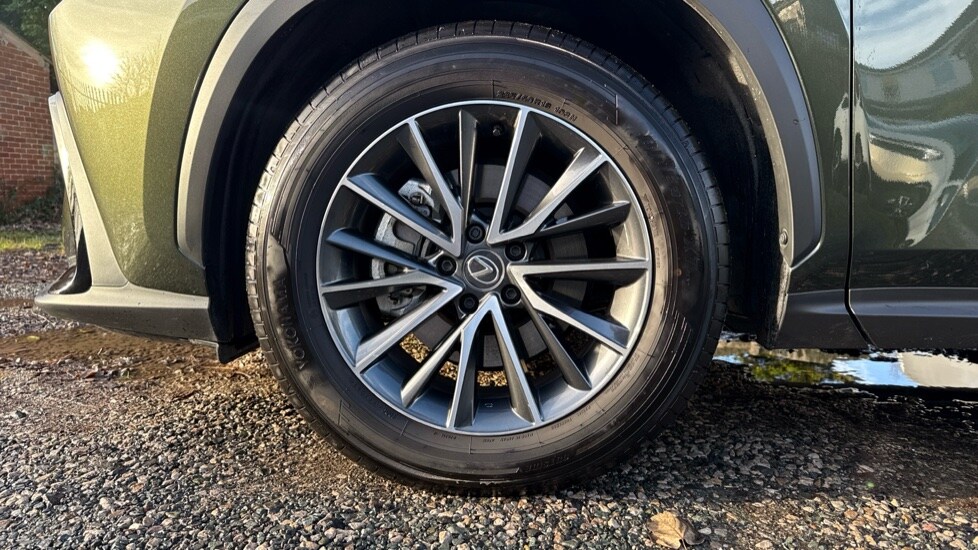 Used Lexus NX 2025 for sale - 76894807: Photo 17