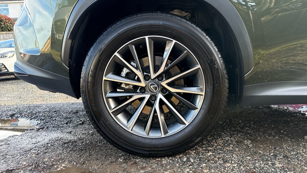 Used Lexus NX 2025 for sale - 76894807: Photo 19