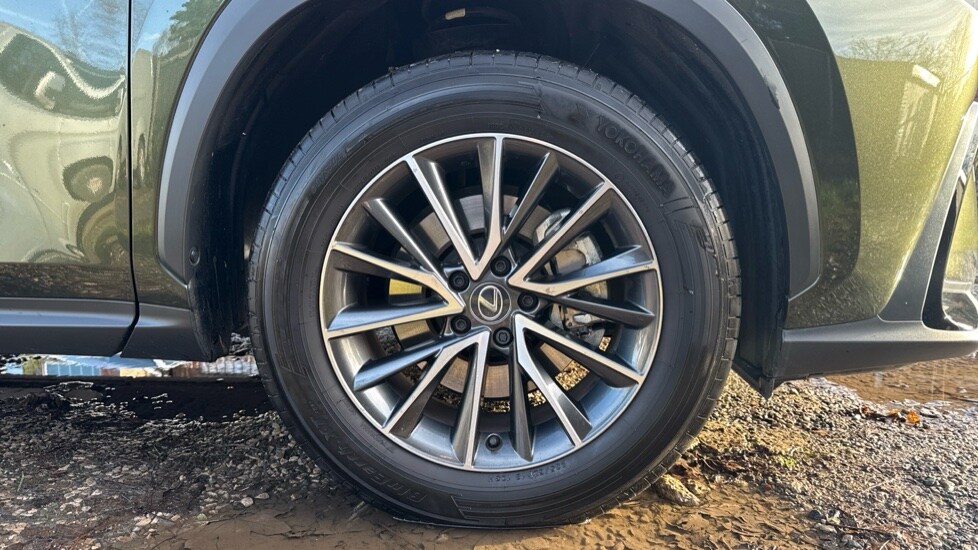 Used Lexus NX 2025 for sale - 76894807: Photo 20