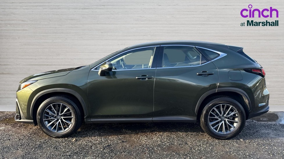Used Lexus NX 2025 for sale - 76894807: Photo 6