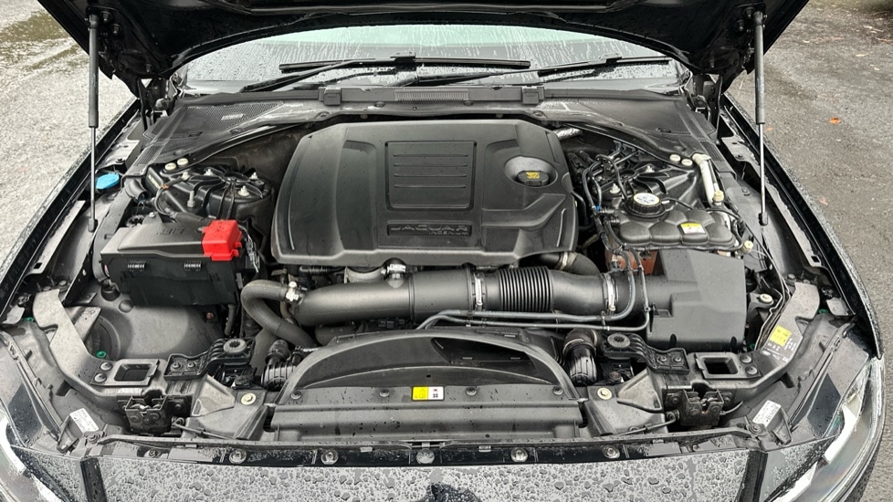 Used Jaguar XF 2018 for sale - 76942900: Photo 16