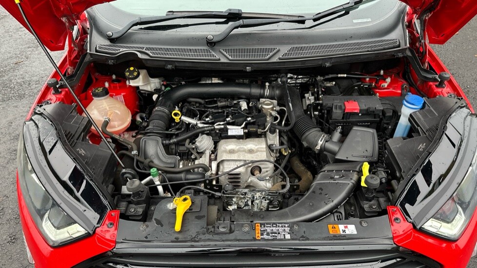 Used Ford Ecosport 2019 for sale - 76479631: Photo 16