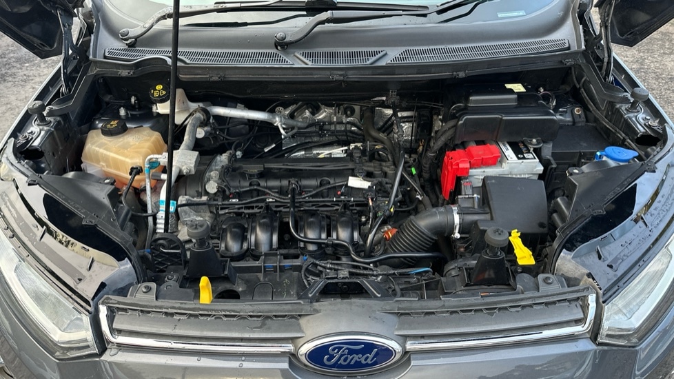 Used Ford Ecosport 2016 for sale - 76441984: Photo 16