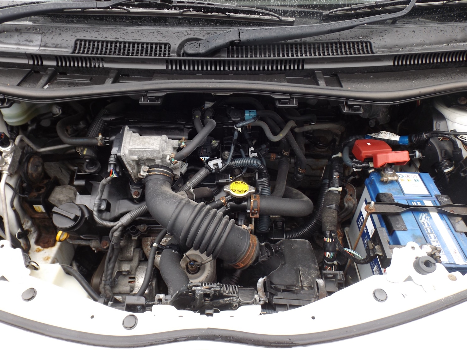 Used Toyota IQ 2010 for sale - 78038611: Photo 6