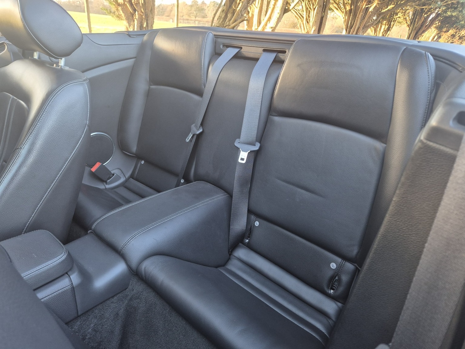 Used Jaguar XK 2006 for sale - 77851244: Photo 11