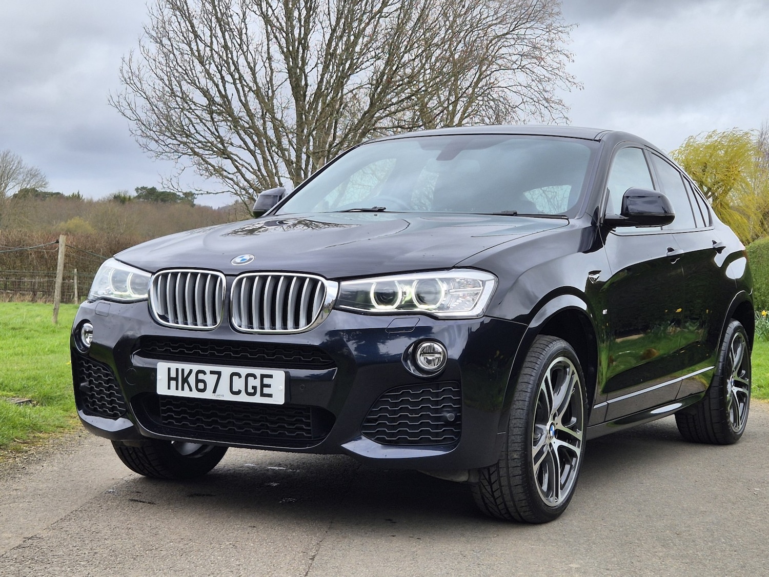 Used BMW X4 2017 for sale - 77906400: Photo 6