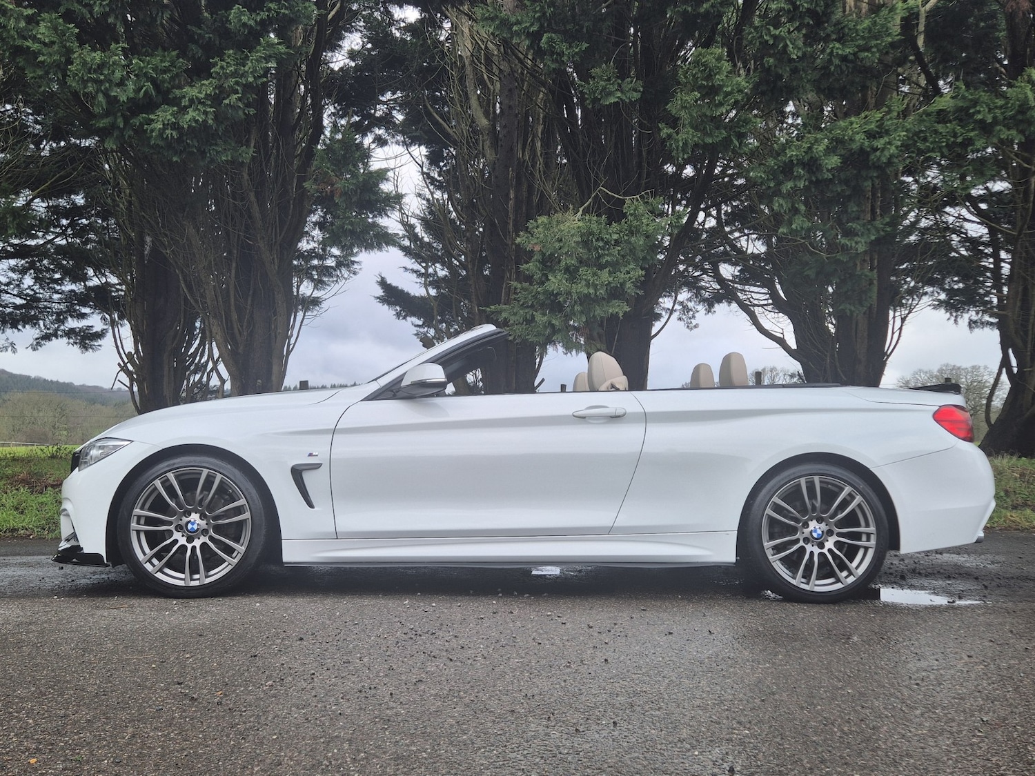 Used BMW 4 Series 2017 for sale - 77548207: Photo 4