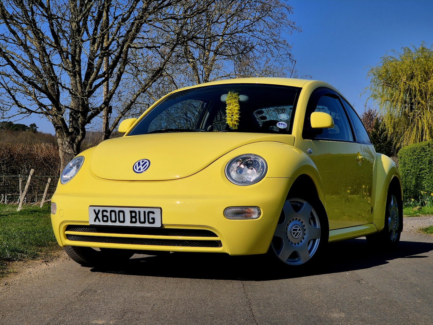 Used Volkswagen Beetle 2000 for sale - 77954075: Photo 2