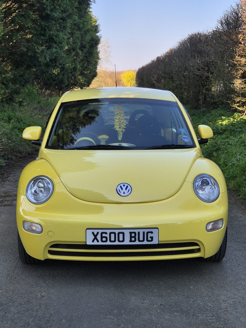 Used Volkswagen Beetle 2000 for sale - 77954075: Photo 32