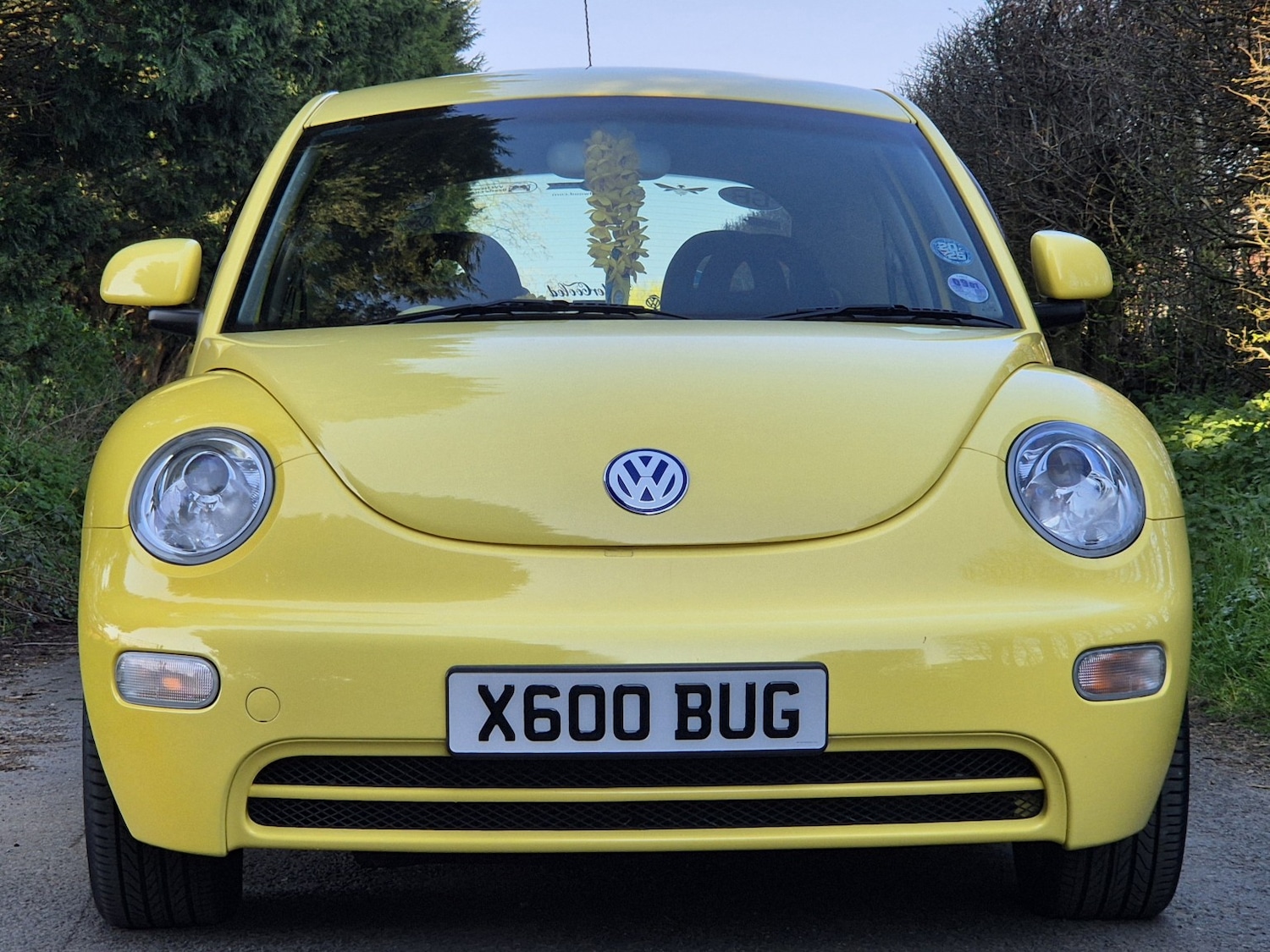 Used Volkswagen Beetle 2000 for sale - 77954075: Photo 34