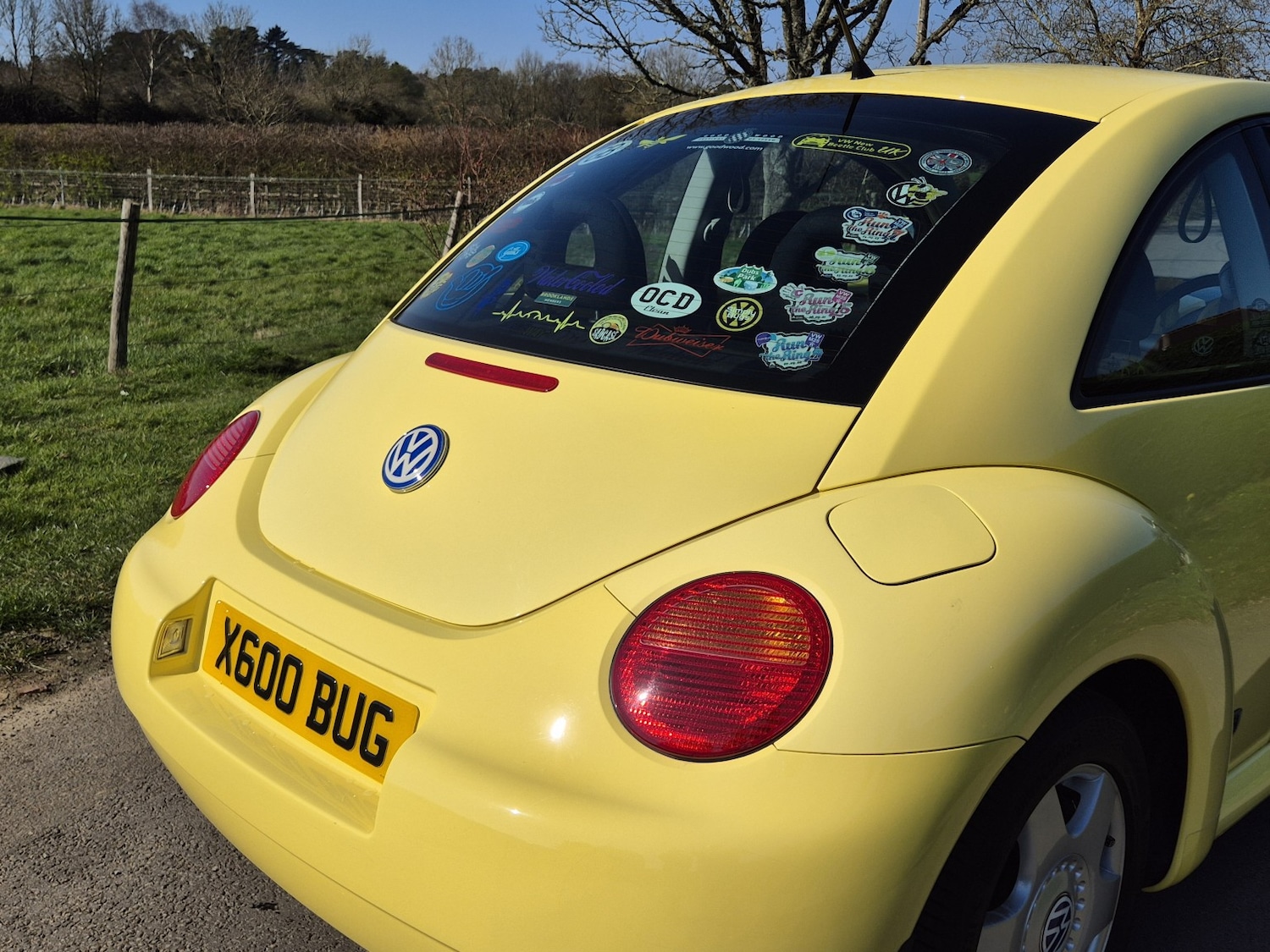 Used Volkswagen Beetle 2000 for sale - 77954075: Photo 45