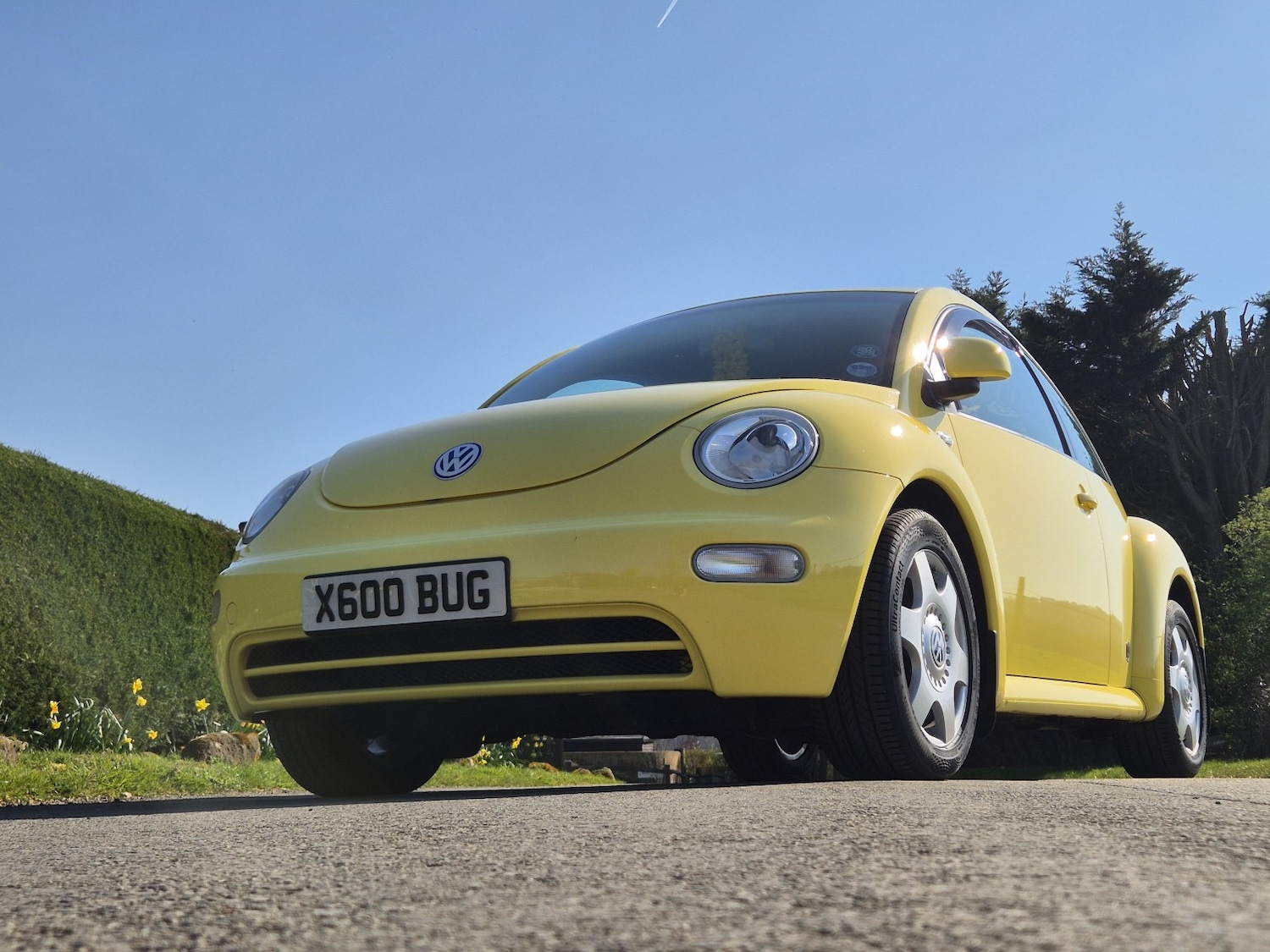 Used Volkswagen Beetle 2000 for sale - 77954075: Photo 51