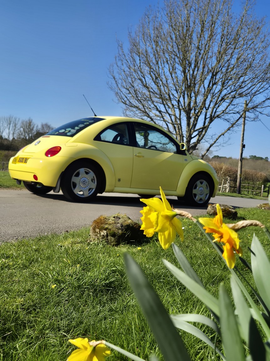 Used Volkswagen Beetle 2000 for sale - 77954075: Photo 53