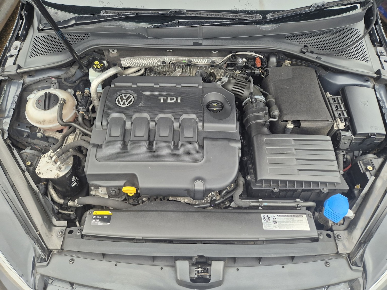 Used Volkswagen Golf 2016 for sale - 77173165: Photo 31