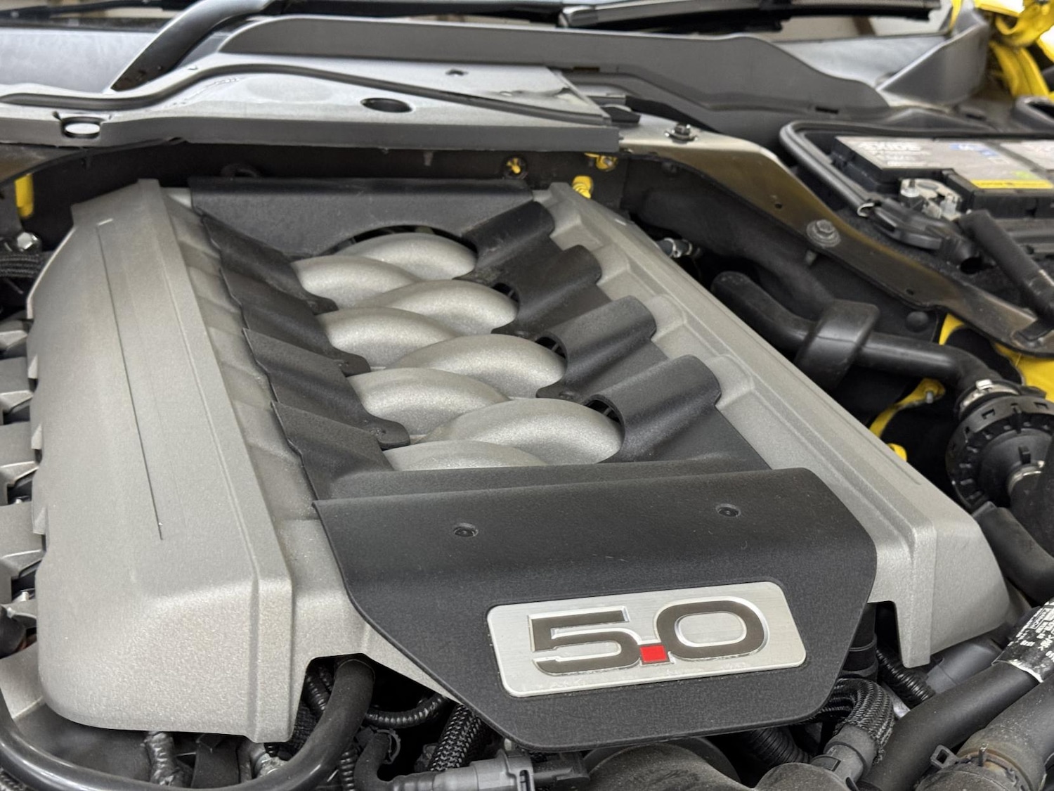 Used Ford Mustang 2016 for sale - 77992037: Photo 48