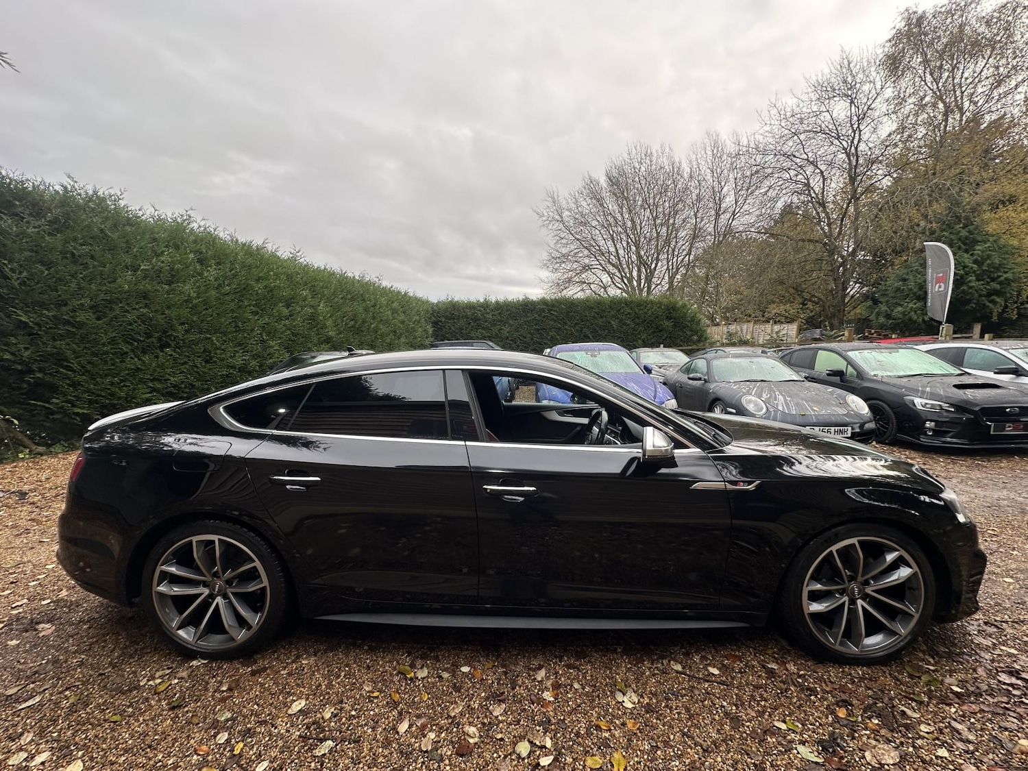 Used Audi A5 2017 for sale - 76734999: Photo 4