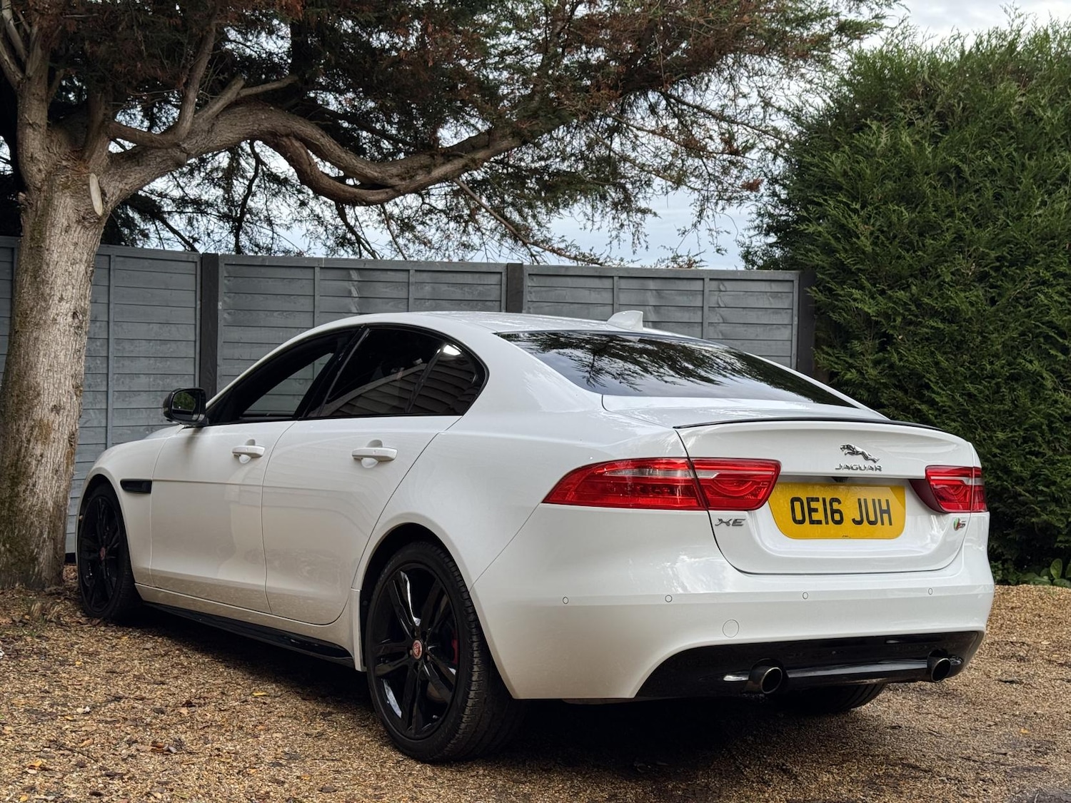 Used Jaguar XE 2016 for sale - 76480160: Photo 4