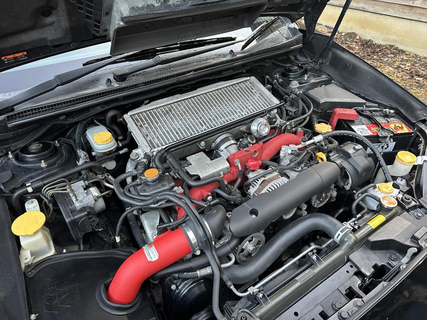 Used Subaru WRX STI 2017 for sale - 76643863: Photo 12