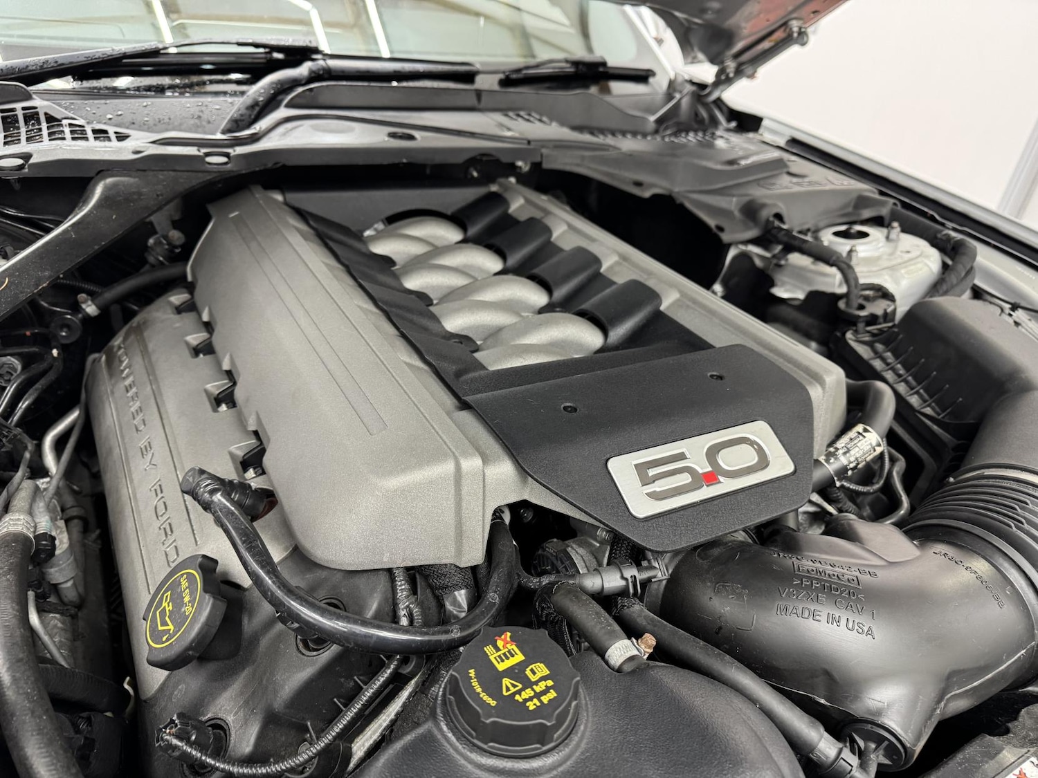 Used Ford Mustang 2016 for sale - 77137859: Photo 50