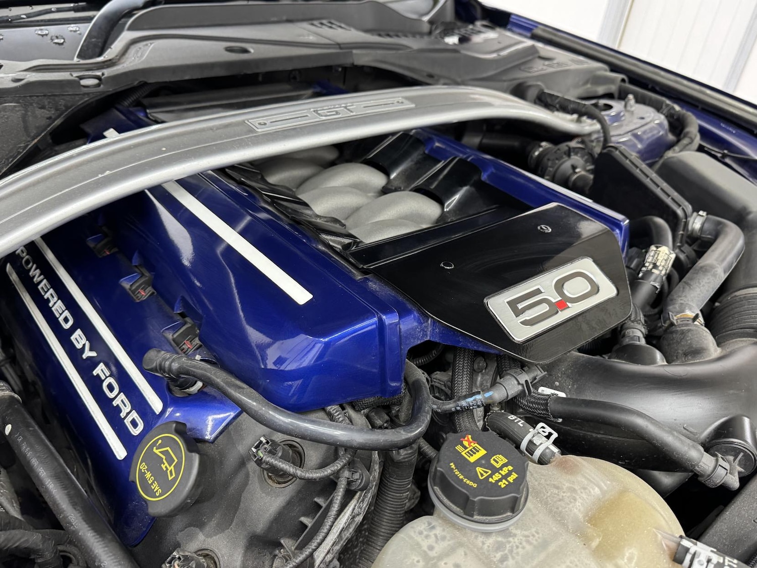 Used Ford Mustang 2016 for sale - 77289543: Photo 30