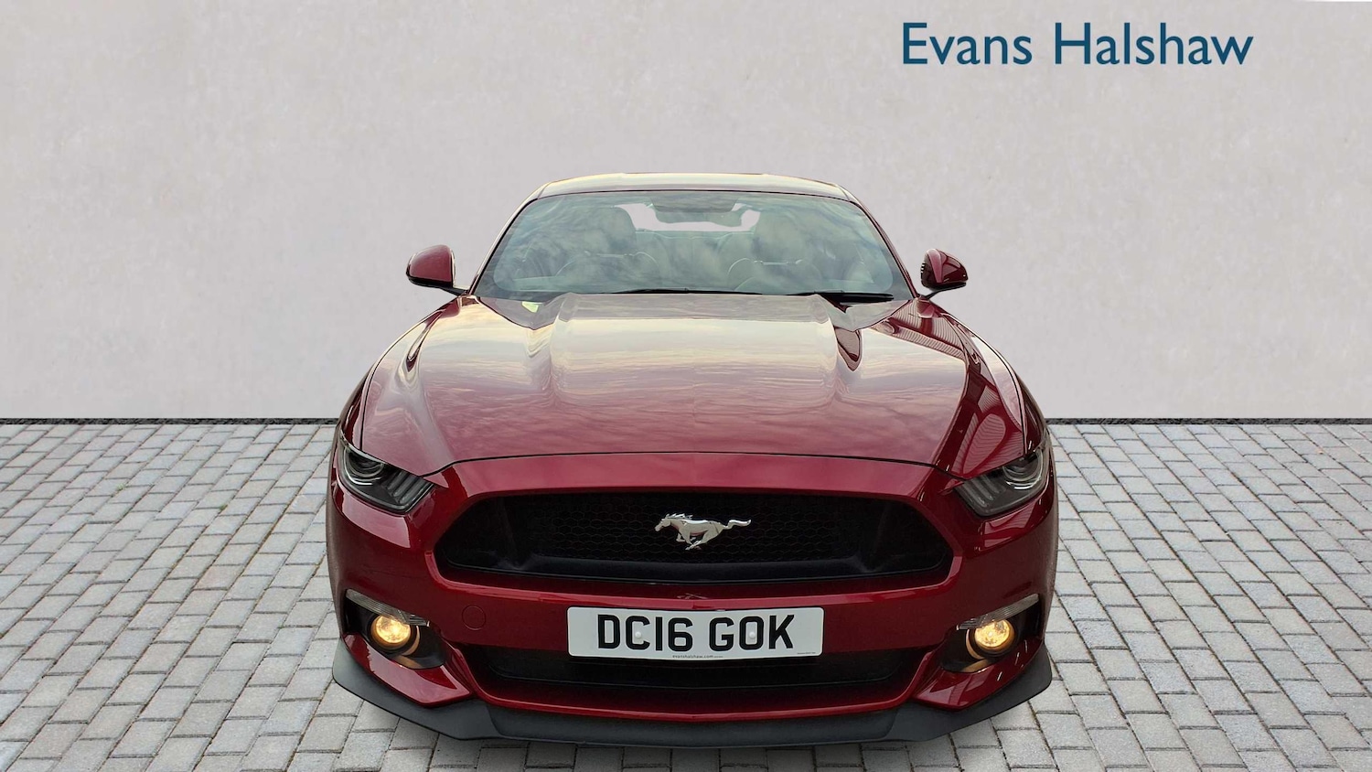 Used Ford Mustang 2016 for sale - 77842555: Photo 5