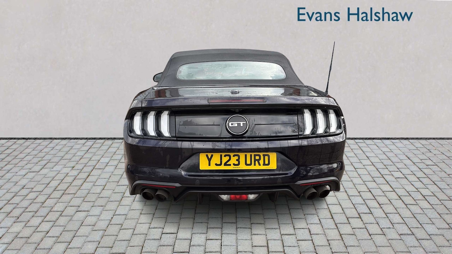 Used Ford Mustang 2023 for sale - 77772323: Photo 5
