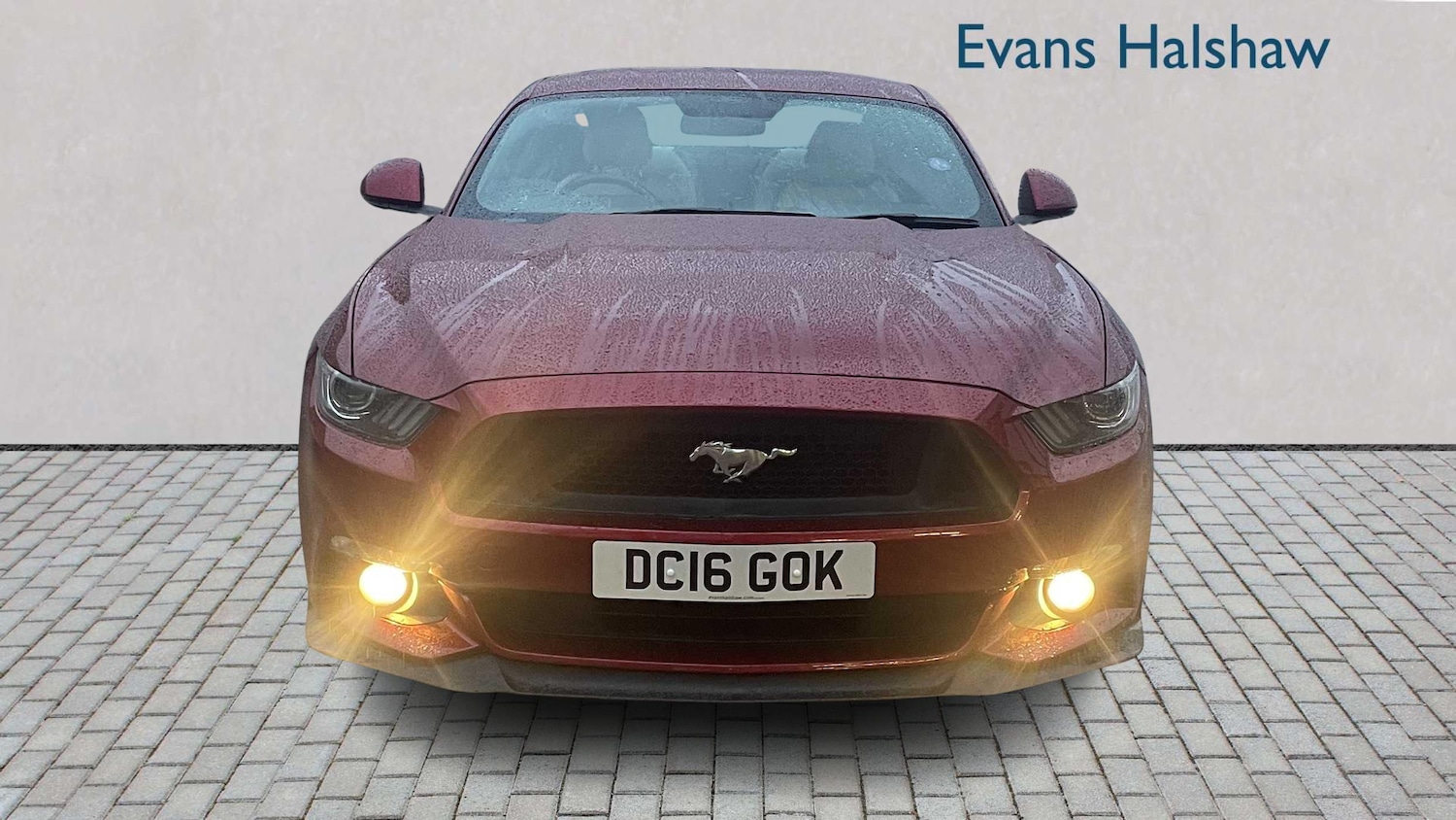 Used Ford Mustang 2016 for sale - 76475880: Photo 5