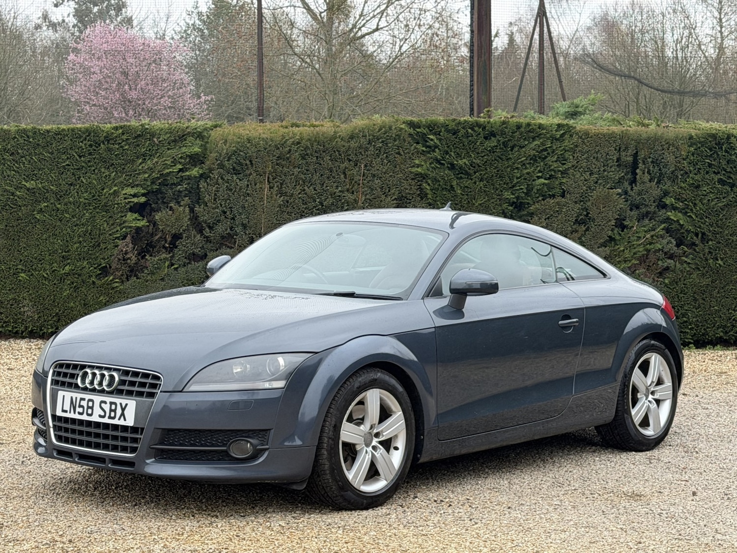 Used Audi TT 2008 for sale - 77864913: Photo 6
