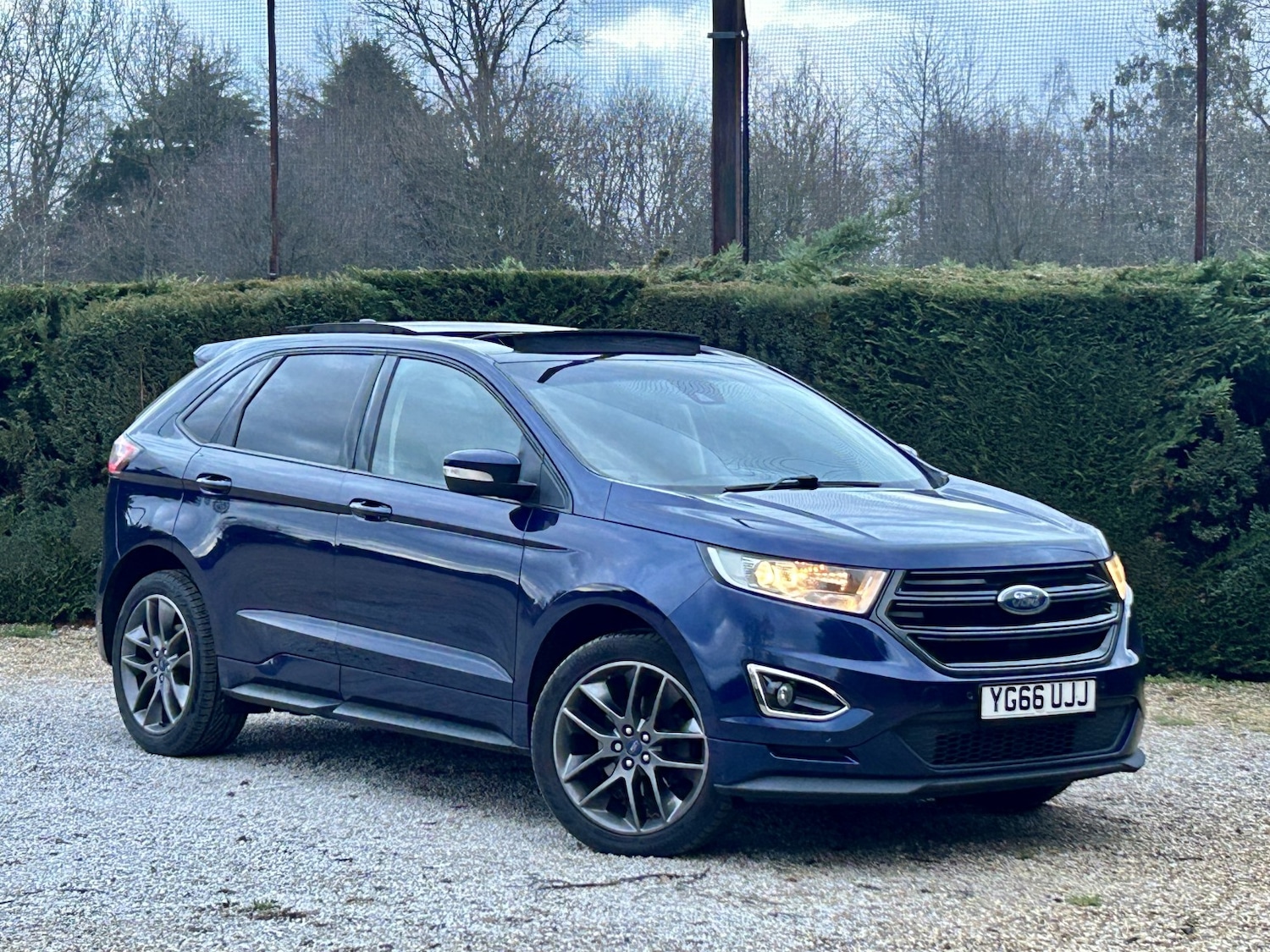 Used Ford Edge 2016 for sale - 77370676: Photo 2