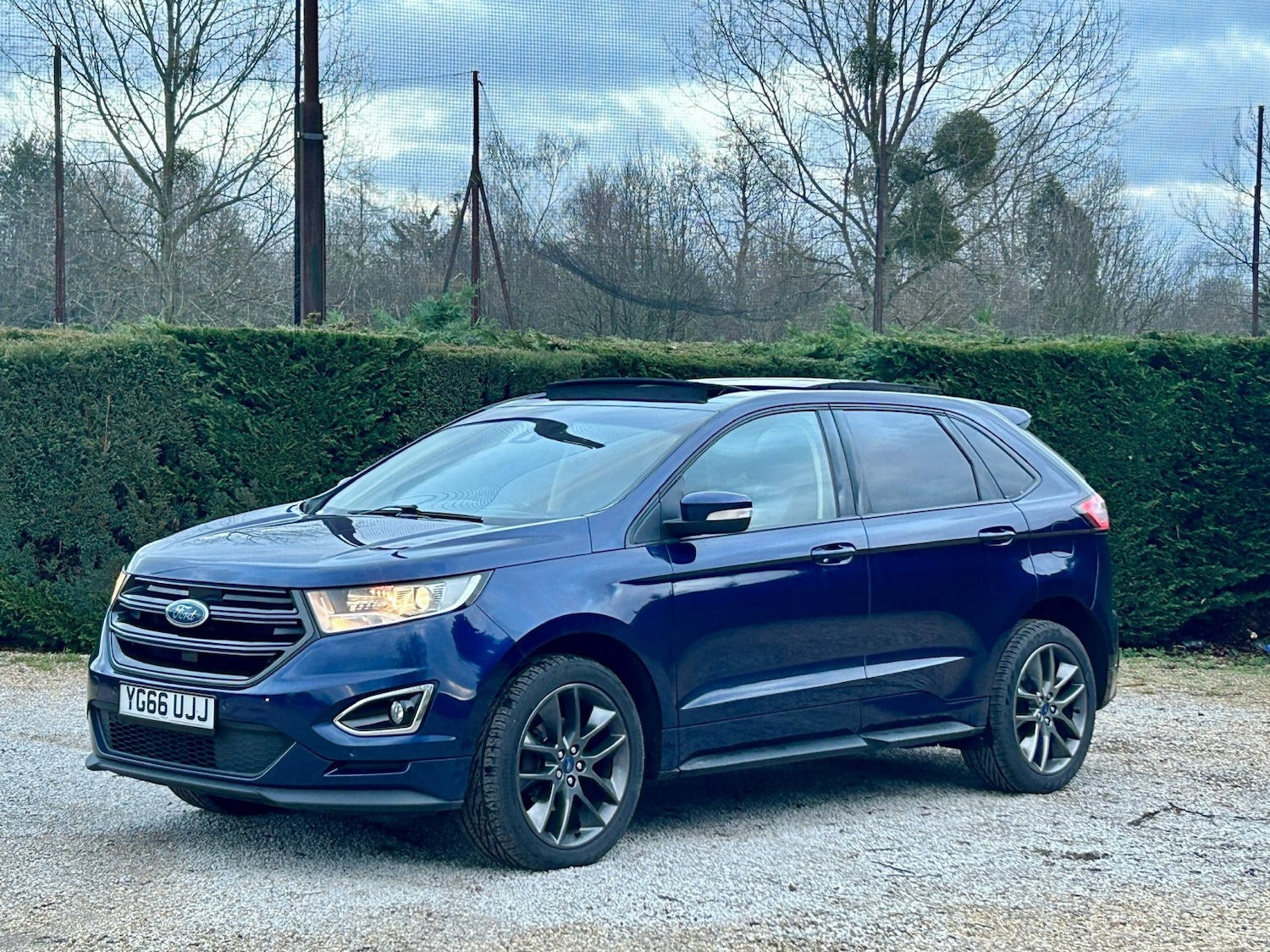 Used Ford Edge 2016 for sale - 77370676: Photo 7