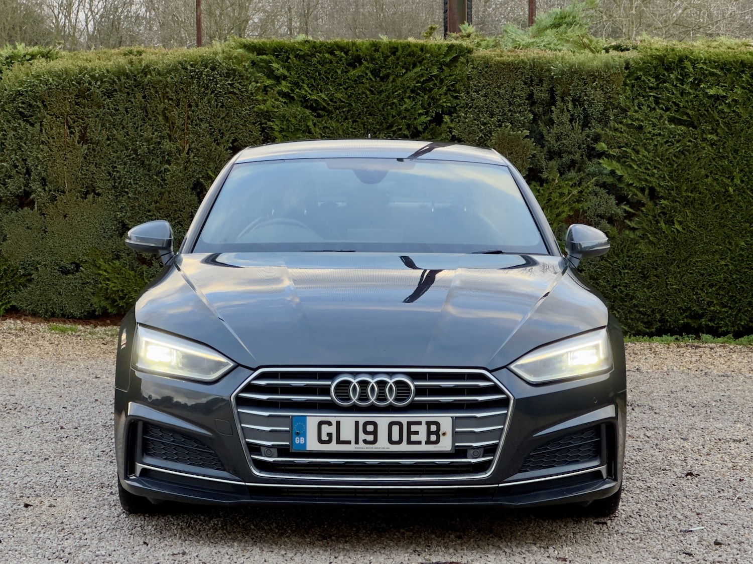 Used Audi A5 2019 for sale - 77310694: Photo 11