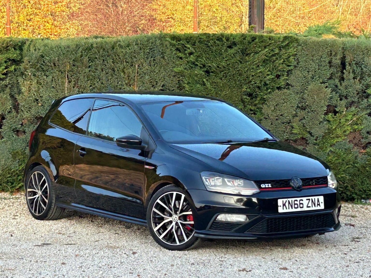 Used Volkswagen Polo 2016 for sale - 76911165: Photo 1