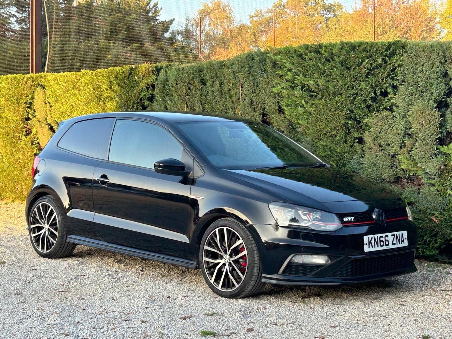 Used Volkswagen Polo 2016 for sale - 76911165: Photo 5