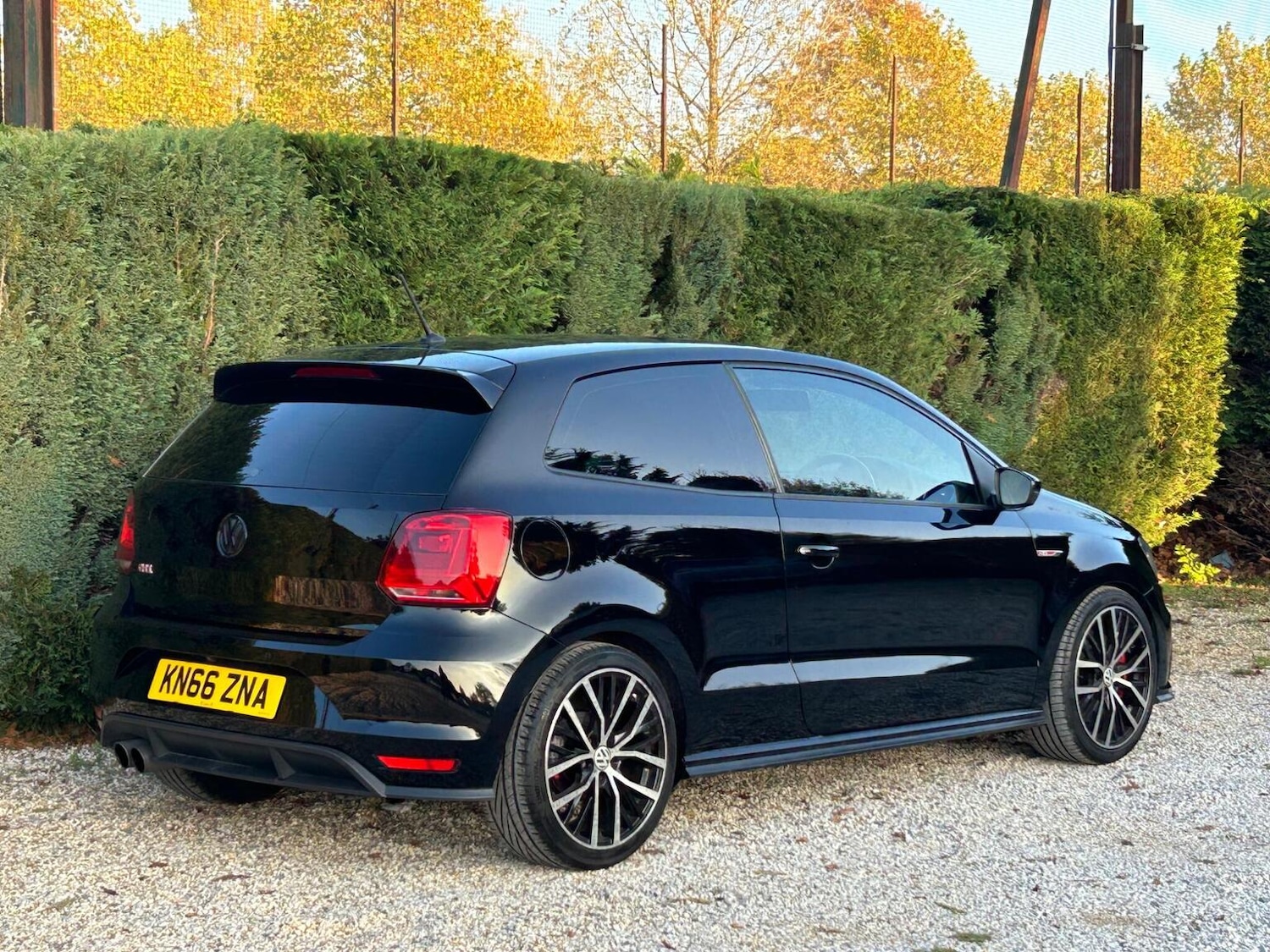 Used Volkswagen Polo 2016 for sale - 76911165: Photo 7