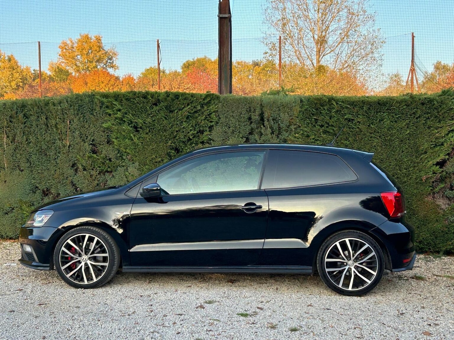 Used Volkswagen Polo 2016 for sale - 76911165: Photo 9