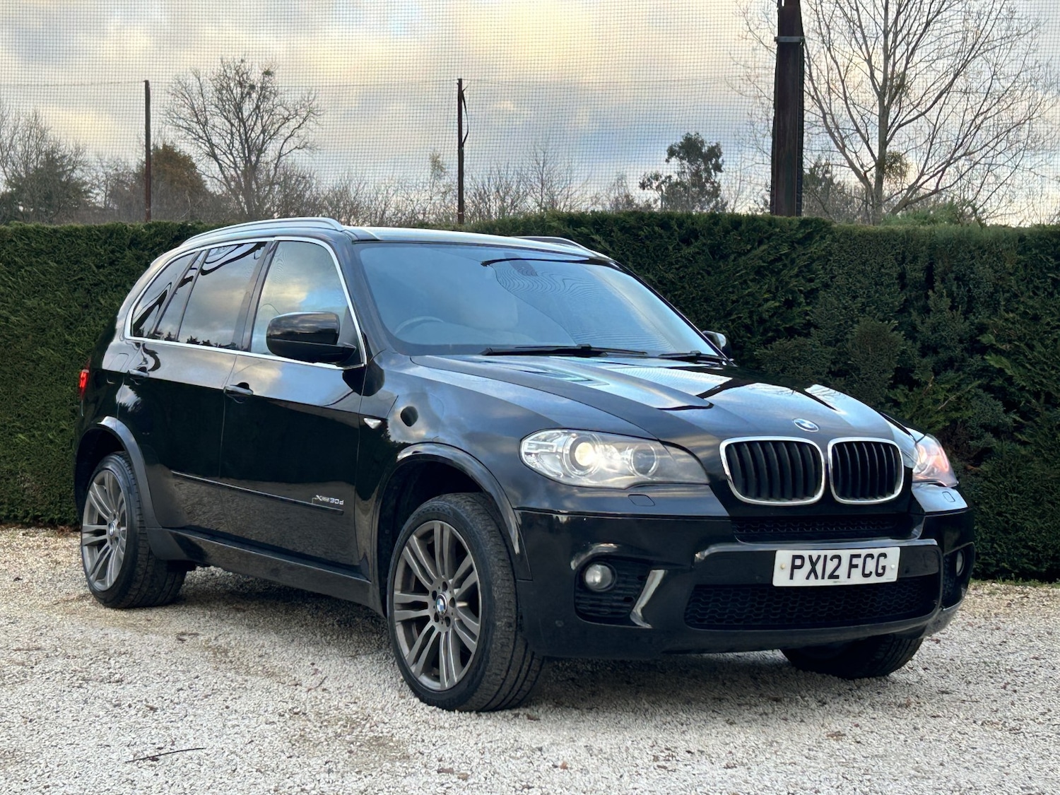 Used BMW X5 2012 for sale - 77135875: Photo 4