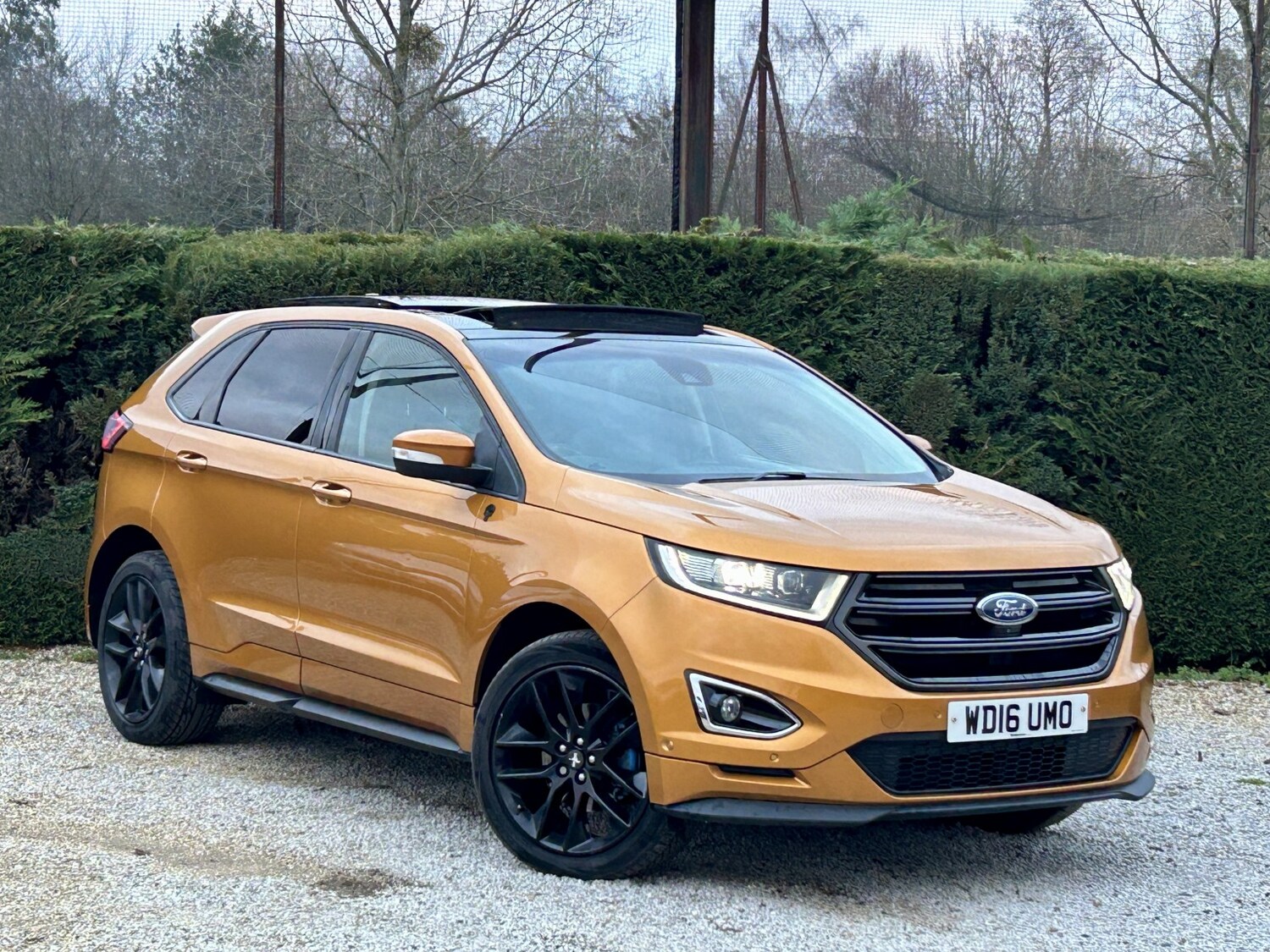 Used Ford Edge 2016 for sale - 77056614: Photo 1