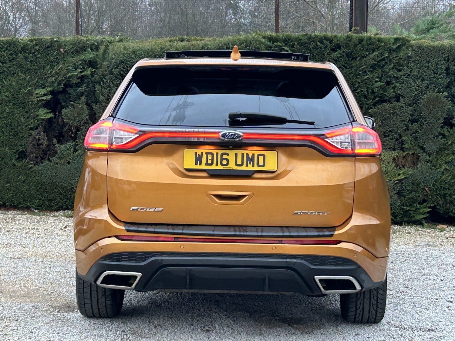 Used Ford Edge 2016 for sale - 77056614: Photo 10