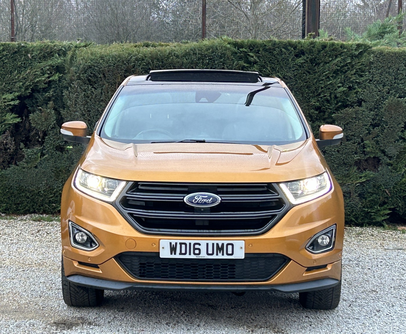 Used Ford Edge 2016 for sale - 77056614: Photo 11