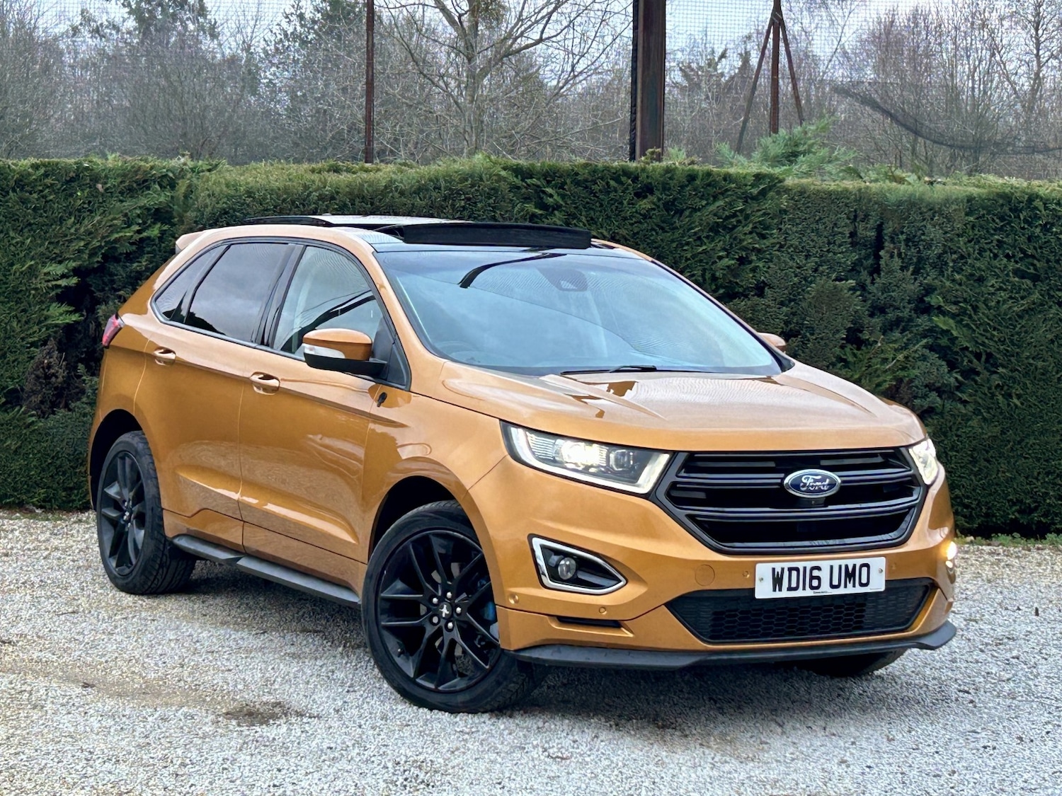 Used Ford Edge 2016 for sale - 77056614: Photo 2