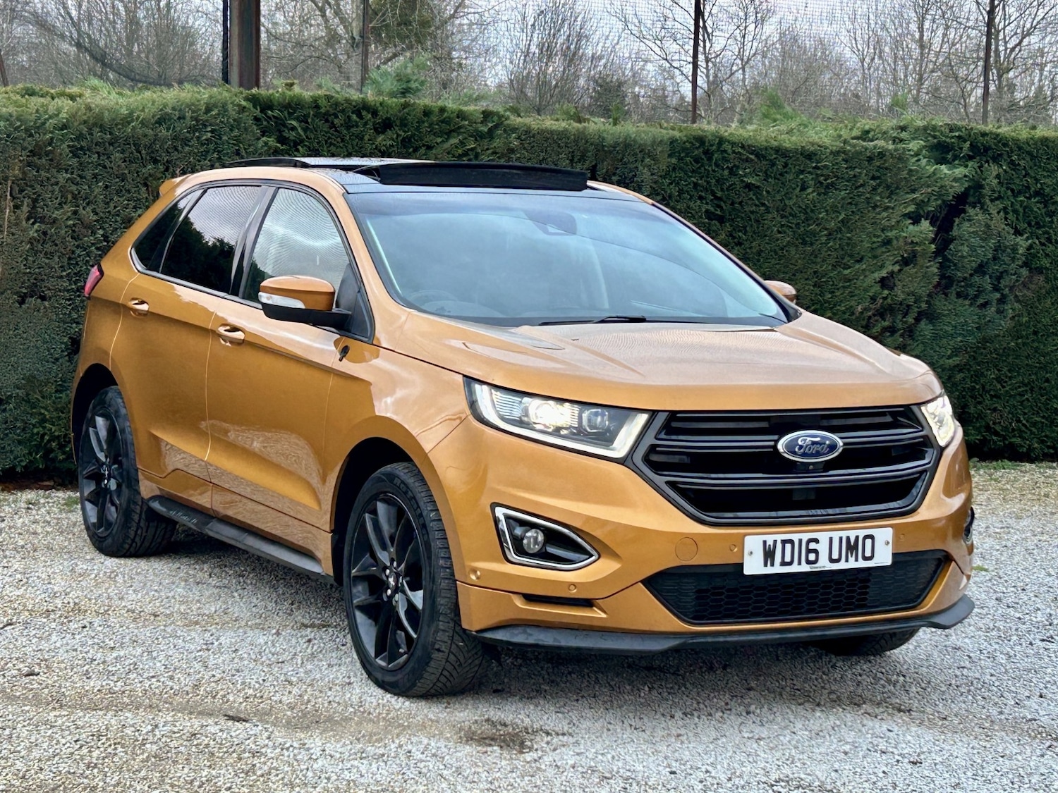 Used Ford Edge 2016 for sale - 77056614: Photo 4