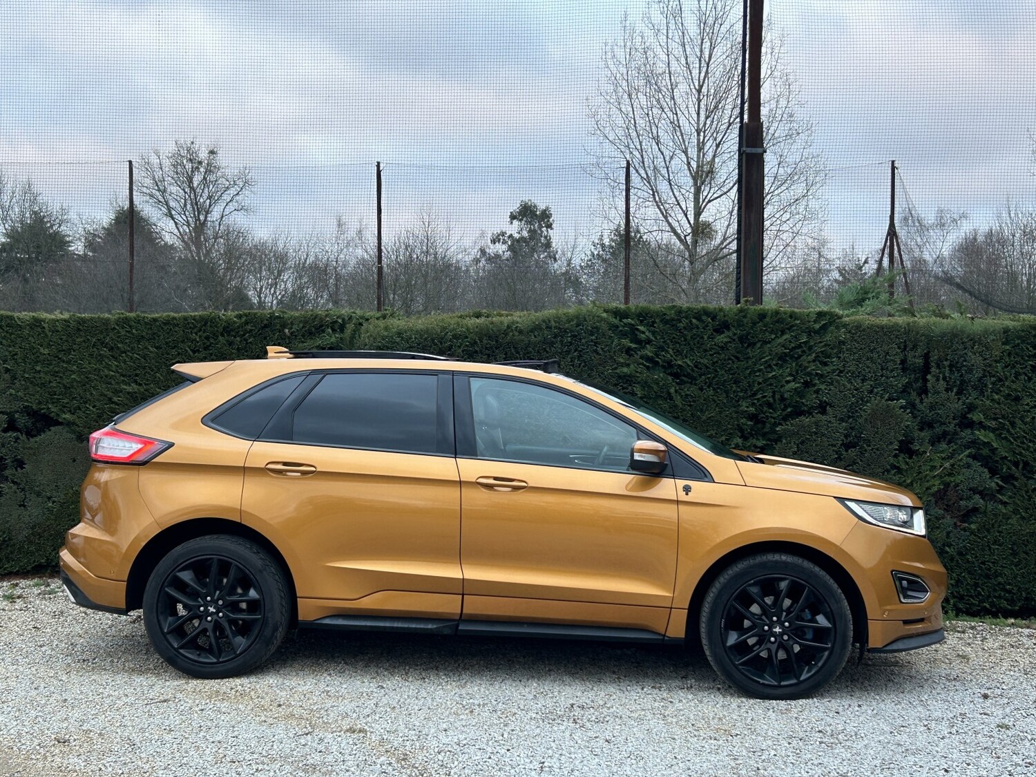 Used Ford Edge 2016 for sale - 77056614: Photo 5