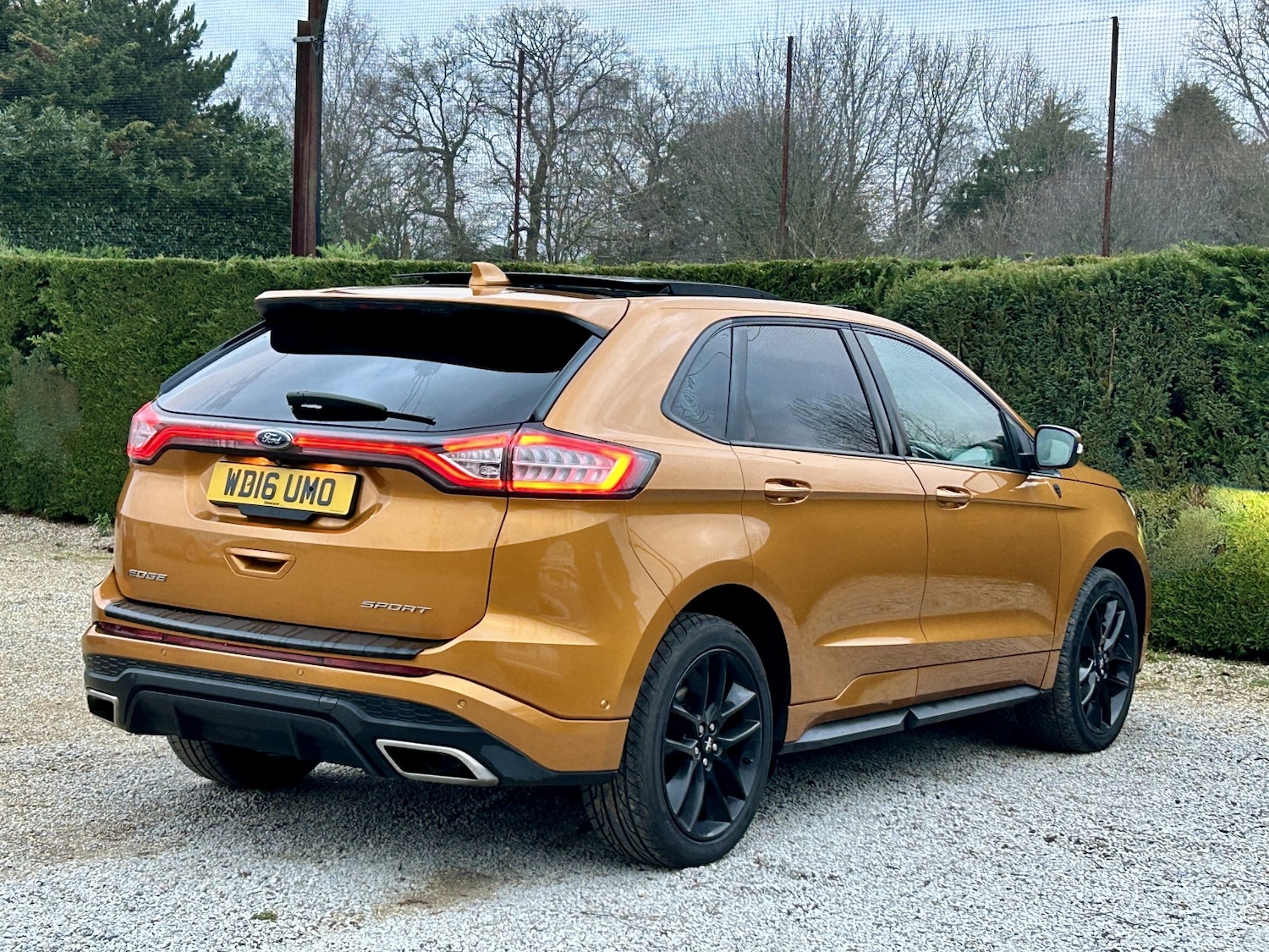 Used Ford Edge 2016 for sale - 77056614: Photo 6