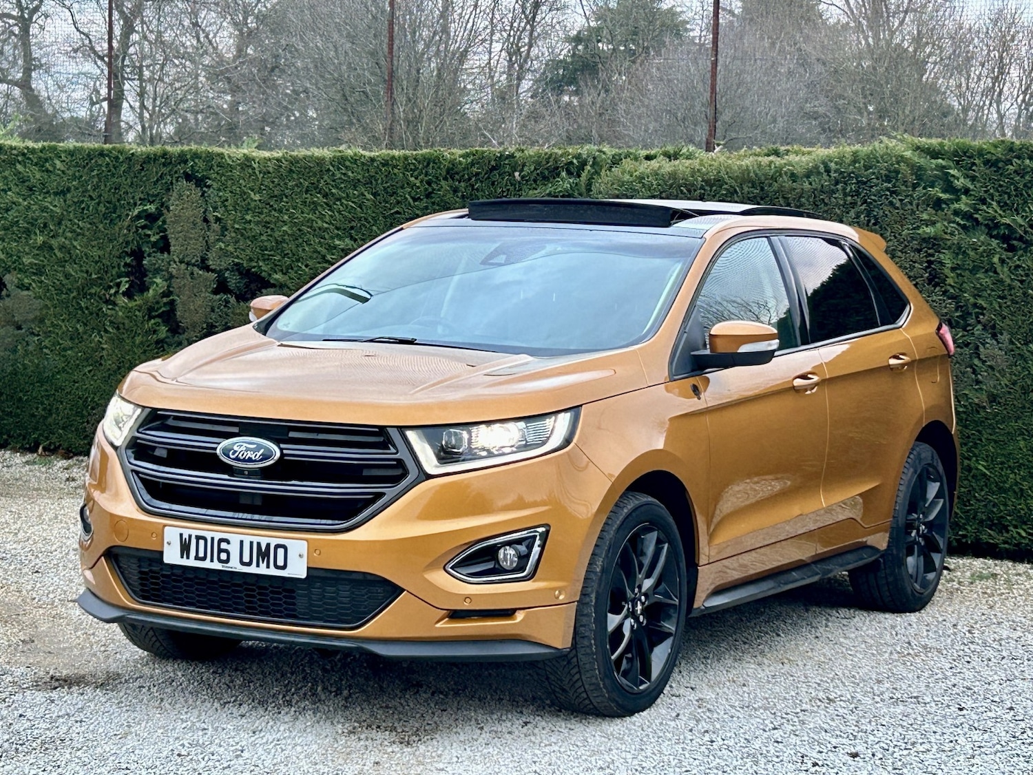 Used Ford Edge 2016 for sale - 77056614: Photo 7