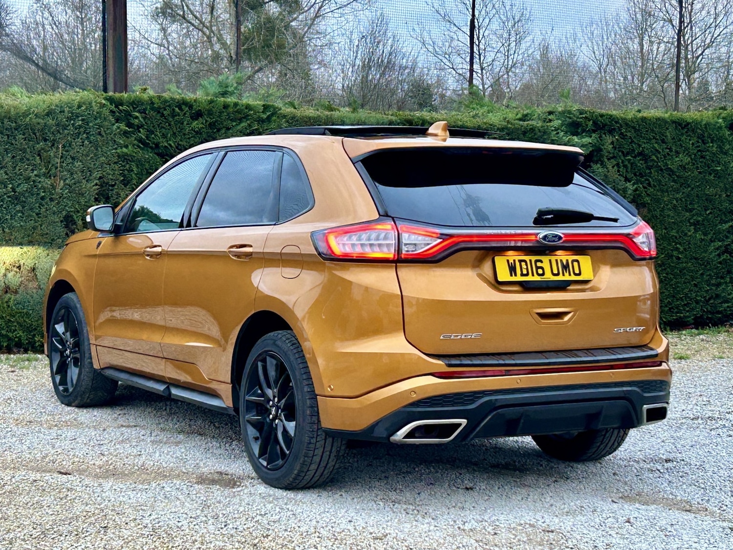 Used Ford Edge 2016 for sale - 77056614: Photo 8