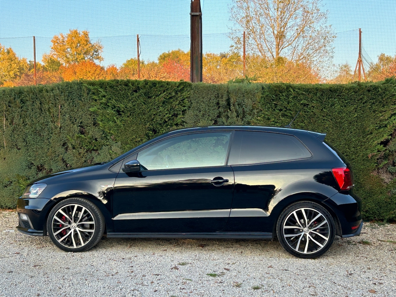 Used Volkswagen Polo 2016 for sale - 76603722: Photo 7