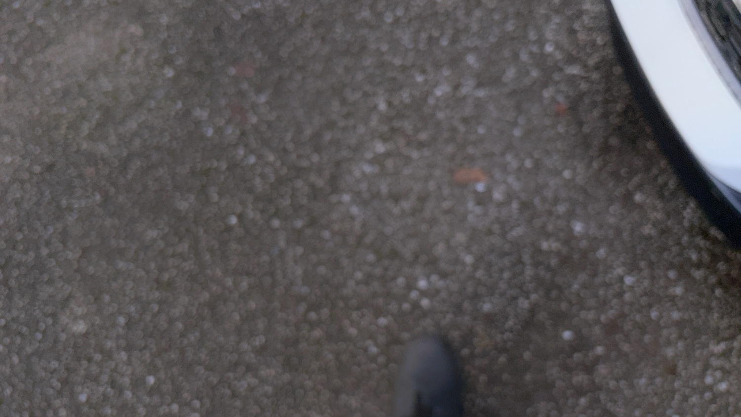 Used Hyundai KONA 2020 for sale - 77201131: Photo 25