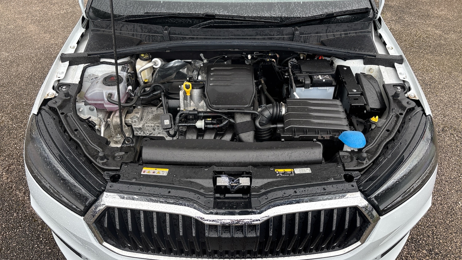 Used Skoda Fabia 2024 for sale - 78070190: Photo 8