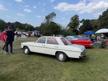 Used Mercedes-Benz 250 1969 for sale - 75624256: Photo