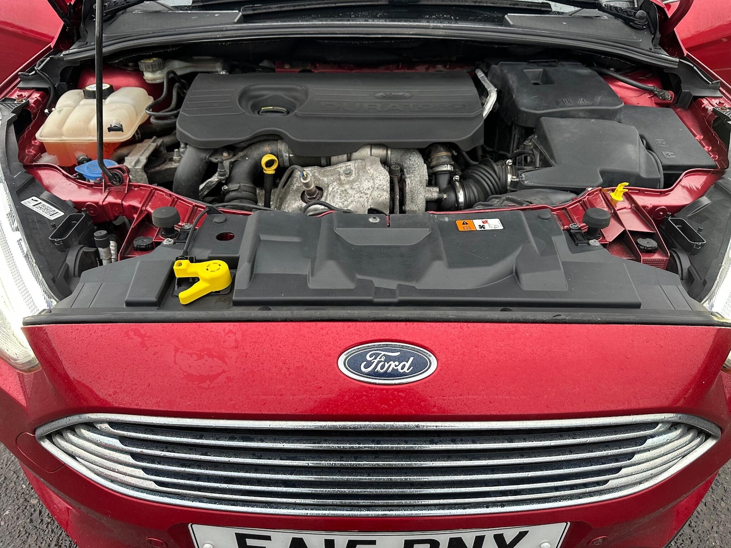 Used Ford Focus 2015 for sale - 77191165: Photo 29